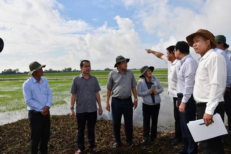 Phó Chủ tịch Ủy ban nhân dân dân tỉnh Tây Ninh Nguyễn Minh Lâm (thứ 3 bên trái) trực tiếp chỉ đạo chống lũ trên khu vực Đồng Tháp Mười z7117361363047-a52fe2c910676fc025cb0ef0163c30af.jpg
