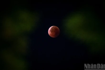 Mặt trăng sẽ có một màn “biến hình” cực kỳ ấn tượng: Thay vì sắc vàng thông thường, vệ tinh này sẽ nhuộm một màu đỏ đồng. Trong ảnh là hiện tượng nguyệt thực toàn phần, thường được gọi là “trăng máu” xuất hiện trên bầu trời Hà Nội rạng sáng 8/9/2025. Ảnh: THÀNH ĐẠT.
