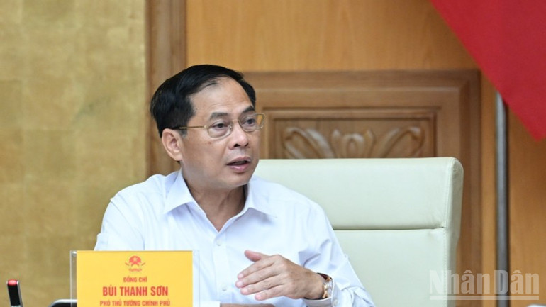 Phó Thủ tướng Bùi Thanh Sơn phát biểu ý kiến tại cuộc họp. (Ảnh: Trần Hải) ndo_br_c2-6924.jpg