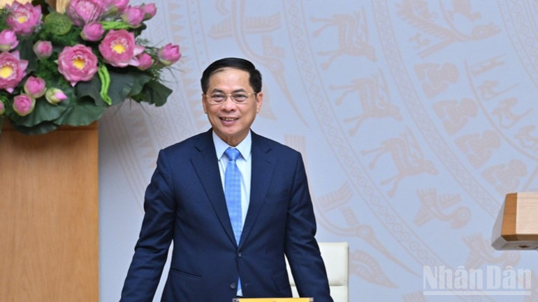 Phó Thủ tướng Chính phủ, Bộ trưởng Ngoại giao Bùi Thanh Sơn phát biểu ý kiến tại buổi gặp mặt. ndo_br_b3-5035.jpg