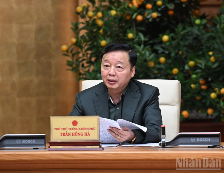 Ph&oacute; Thủ tướng Ch&iacute;nh phủ Trần Hồng H&agrave; ph&aacute;t biểu &yacute; kiến tại cuộc họp. (Ảnh: Trần Hải)