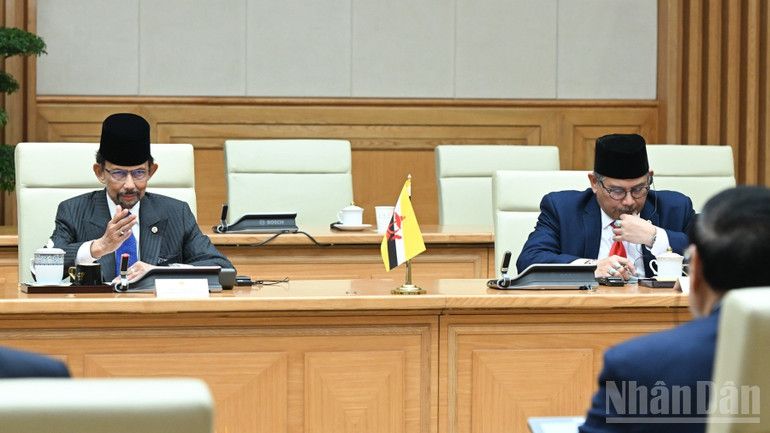 Quốc vương Brunei Darussalam Haji Hassanal Bolkiah phát biểu ý kiến tại cuộc hội kiến. (Ảnh: Trần Hải)