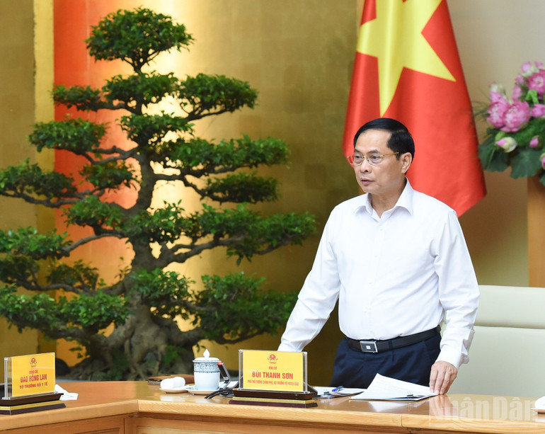 Phó Thủ tướng Bùi Thanh Sơn - Trưởng Ban Chỉ đạo 389 Quốc gia phát biểu tại Hội nghị. (Ảnh: TRẦN HẢI) ndo_br_a5-60.jpg