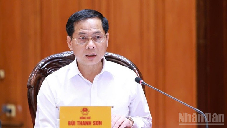 Phó Thủ tướng, Bộ trưởng Ngoại giao Bùi Thanh Sơn phát biểu ý kiến tại cuộc họp. (Ảnh: Trần Hải) ndo_br_c3-6947.jpg