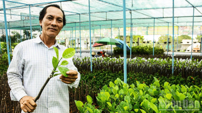 Ông Lê Văn Thảo sản xuất nhiều cây giống bán thị trường trong nước và xuất khẩu. ndo_br_1-50.jpg