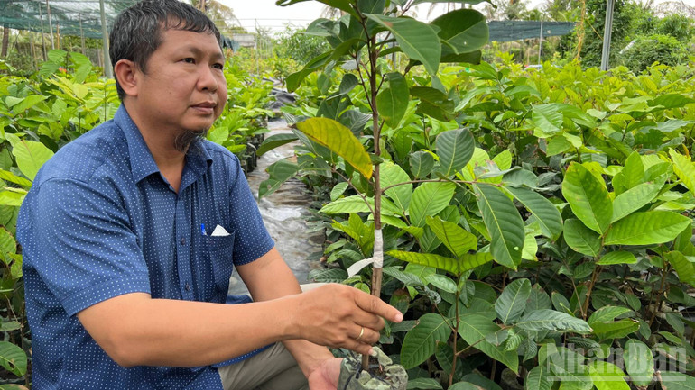 Ông Bùi Hồng Khánh ứng dụng công nghệ túi tự hủy và giá thể sạch bệnh trong sản xuất cây giống. ndo_br_img-1193.jpg