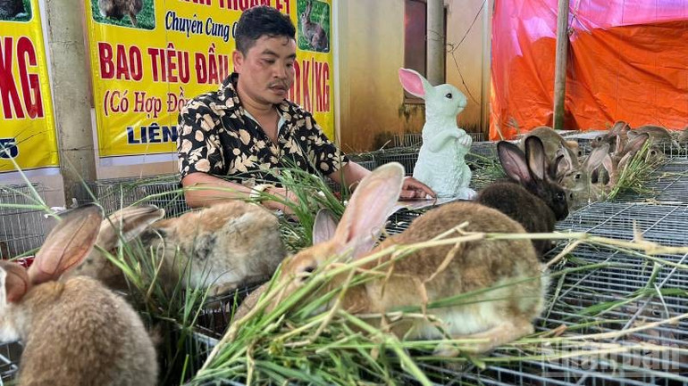 Cơ sở quảng bá rầm rộ trên mạng xã hội về nuôi thỏ thu tiền tỷ và ký hợp đồng tiêu thụ với nông dân. (Ảnh: HOÀNG TRUNG) ndo_br_tho-2.jpg