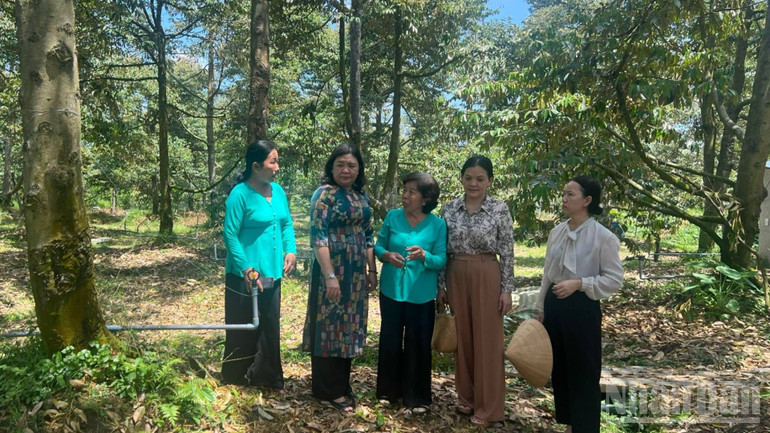 សមាជិកសហករណ៍កសិកម្ម Tan Phu ភាគច្រើនជាស្ត្រី។ ndo_br_4-28.jpg