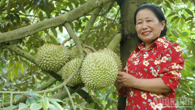 លោកស្រី Nguyen Thi Thinh បង្កើតផលិតផល OCOP លំដាប់ផ្កាយ 3 ដែលមានម៉ាកយីហោ “ធុរេនរបស់លោកស្រី Thinh”។ ndo_br_6-16.jpg