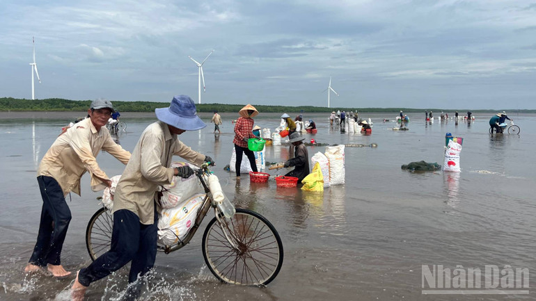 An ninh trật tự ổn định, người dân vùng biên giới biển Thới Thuận an tâm lao động, sản xuất. ndo_br_img-9732.jpg