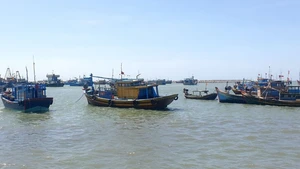 Tàu cá neo đậu tại Cảng cá La Gi, Bình Thuận. (Ảnh: ĐÌNH CHÂU)