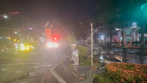 Thanh Hóa khẩn trương khắc phục sự cố do mưa dông.