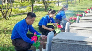 Đoàn viên, thanh niên thay hoa mới tại nghĩa trang liệt sĩ thành phố.