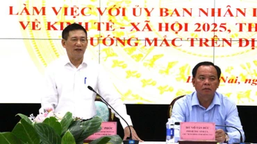 Phó Thủ tướng Chính phủ Hồ Đức Phớc phát biểu tại buổi làm việc.