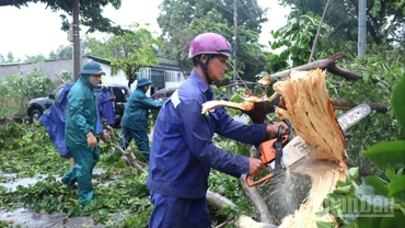 Lực lượng chức năng tỉnh Đồng Nai tập trung khắc phục hậu quả do trận mưa lớn kèm gió giật mạnh gây ra.
