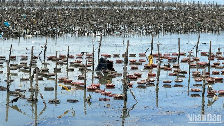 Rác thải lẫn trong khu vực nuôi hải sản gần cầu Thạnh Đức.