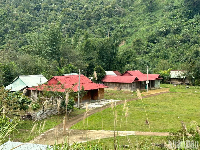 Người dân về làng cũ ở tạm, cũng là nơi từng nguy cơ sạt lở. Người dân về làng cũ ở tạm, cũng là nơi từng nguy cơ sạt lở.