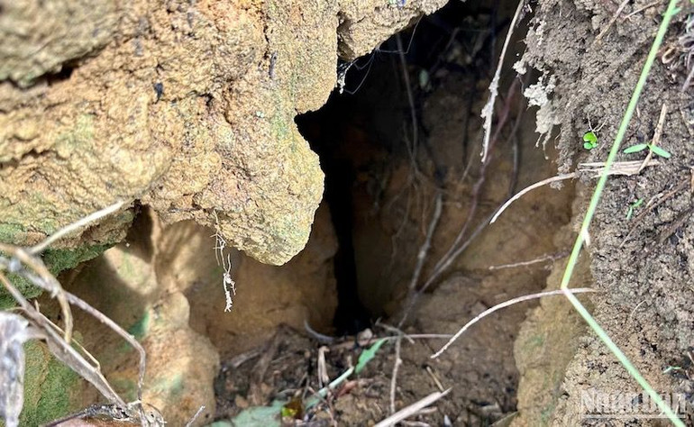 Nhiều hố sâu, hang nhỏ do nứt núi tạo ra. Nhiều hố sâu, hang nhỏ do nứt núi tạo ra.