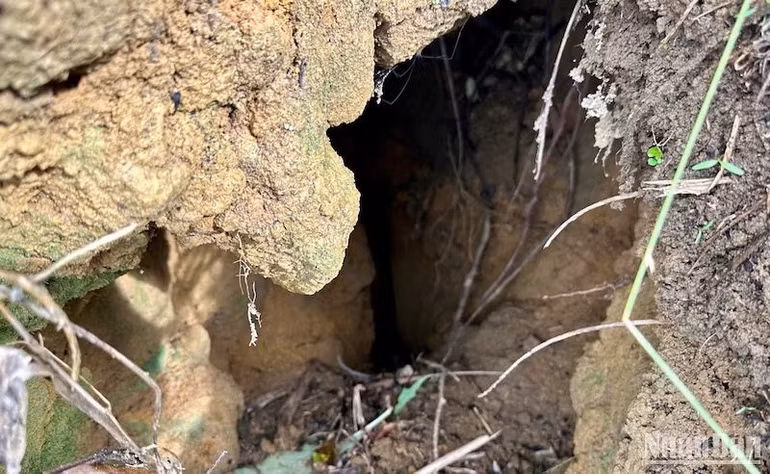 Nhiều hố sâu, hang nhỏ do nứt núi tạo ra.