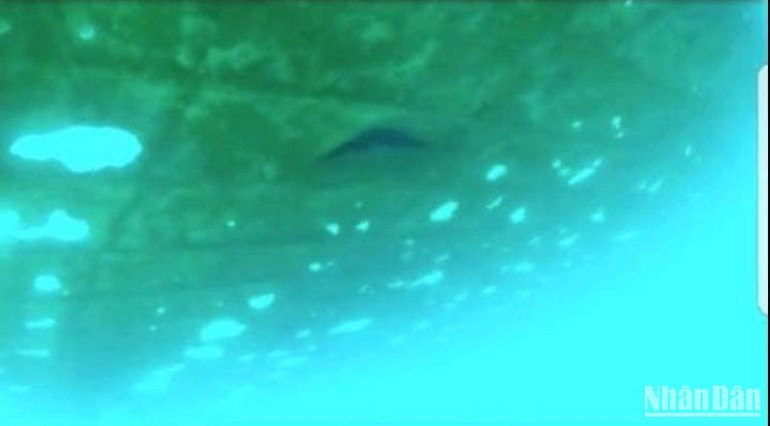 Vết lủng bên dưới sà-lan chở khoáng sản từ cảng Kỳ Hà ra cảng Bến Đình.