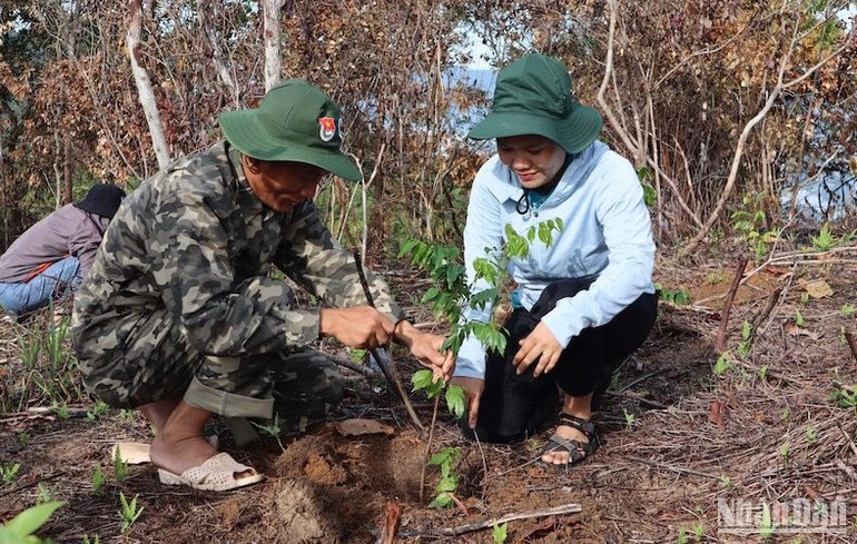 Tháng 3/2022, Minh Long ra khỏi danh sách huyện nghèo.
