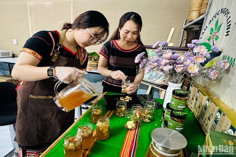 Sâm Ngọc Linh được chế biến thành nhiều sản phẩm với các khung giá đa dạng giúp người tiêu dùng dễ lựa chọn hơn. Sâm Ngọc Linh được chế biến thành nhiều sản phẩm với các khung giá đa dạng giúp người tiêu dùng dễ lựa chọn hơn.