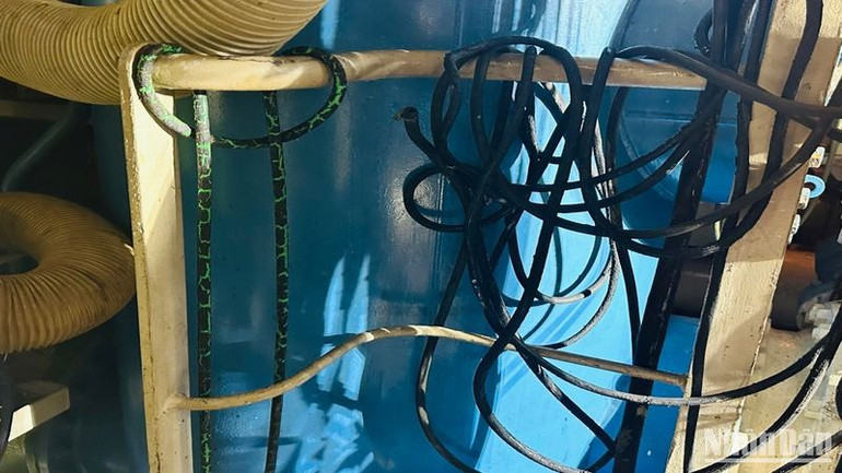 Dây gas và ống oxy để hàn, cắt quấn dày đặc trên các thanh sắt, hành lang.