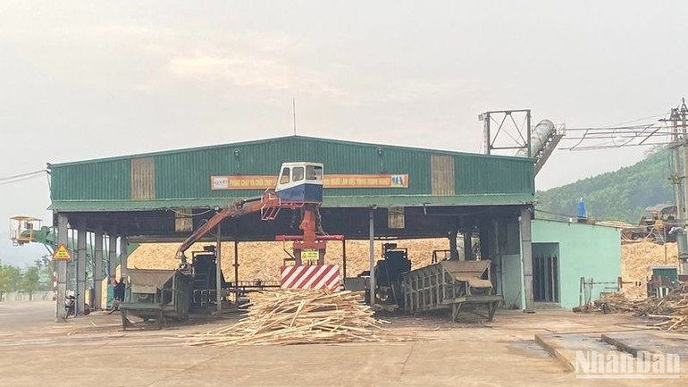 Cơ sở chế biến dăm gỗ tại huyện miền núi Sơn Hà.