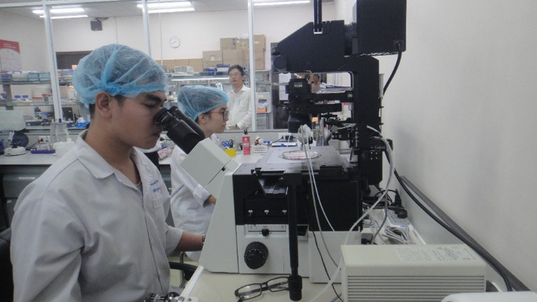 Nghiên cứu khoa học tại Đại học Quốc gia Thành phố Hồ Chí Minh.