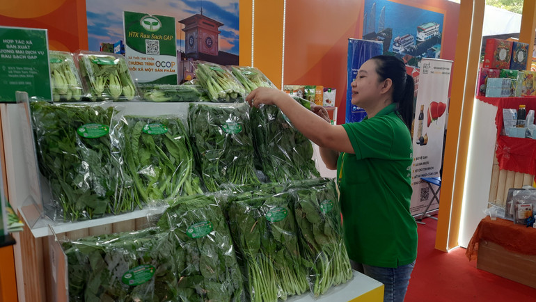 Trưng bày sản phẩm rau sạch tại Tuần lễ sản phẩm OCOP