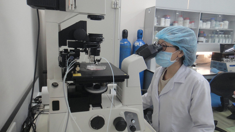 Hoạt động nghiên cứu khoa học tại Trường đại học Quốc tế, Đại học Quốc gia Thành phố Hồ Chí Minh.