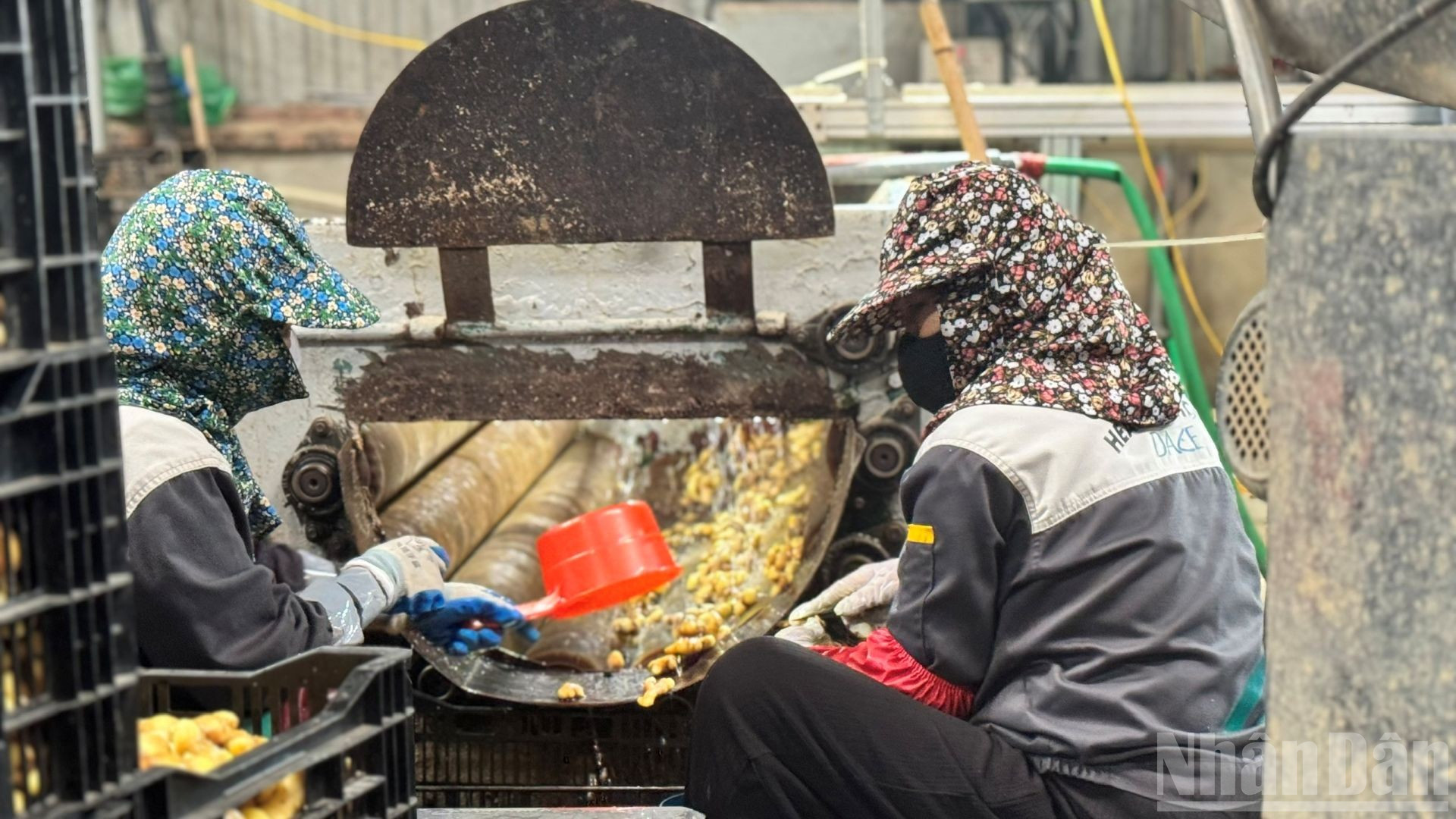 Sản xuất của các doanh nghiệp duy trì ổn định. (Ảnh: HNV)