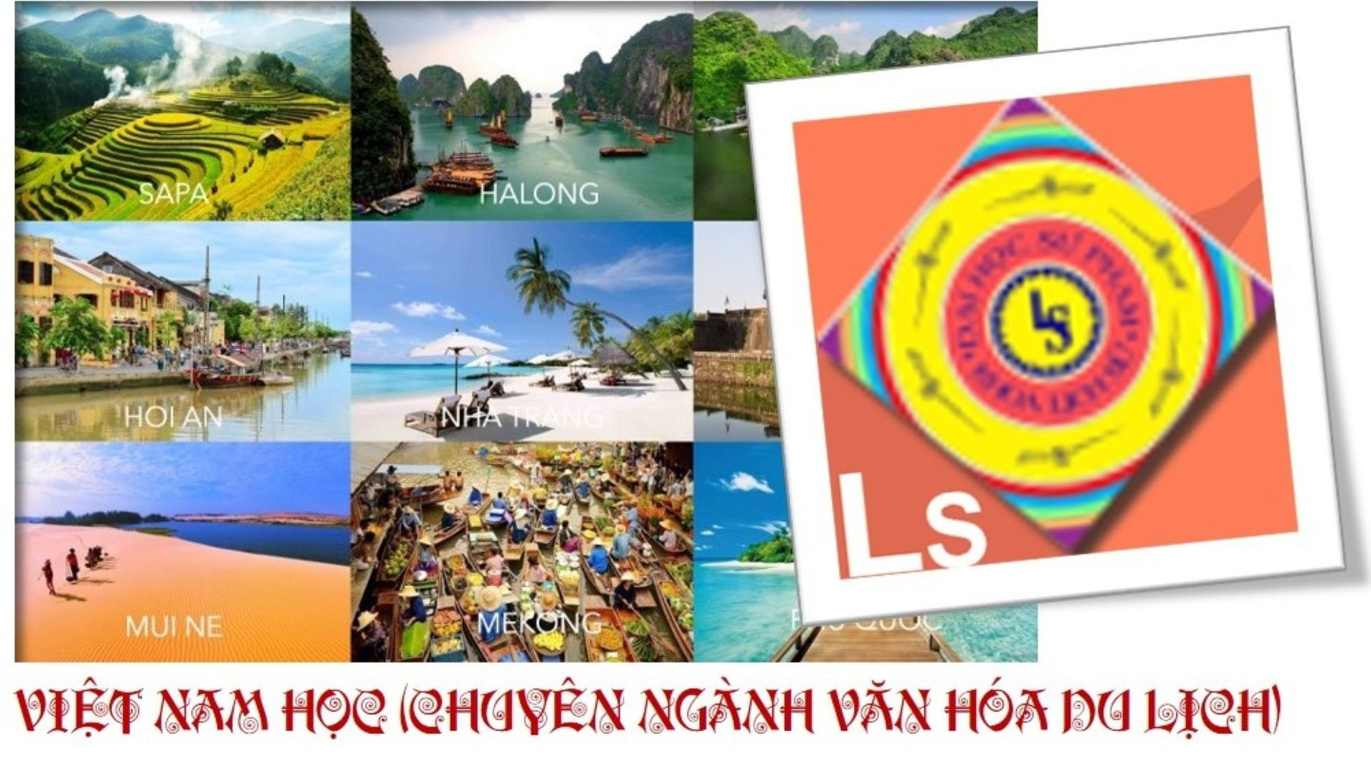 Ảnh: ĐẠI HỌC ĐÀ NẴNG. vnh4.jpg