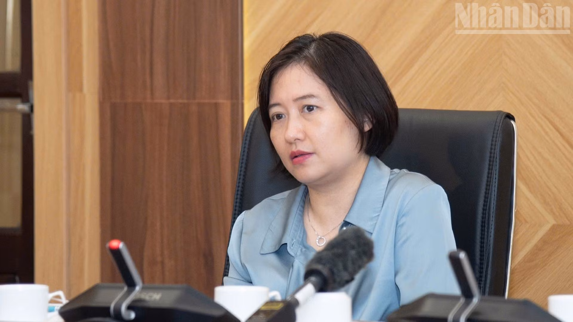 ndo_tr_bathuy.jpg