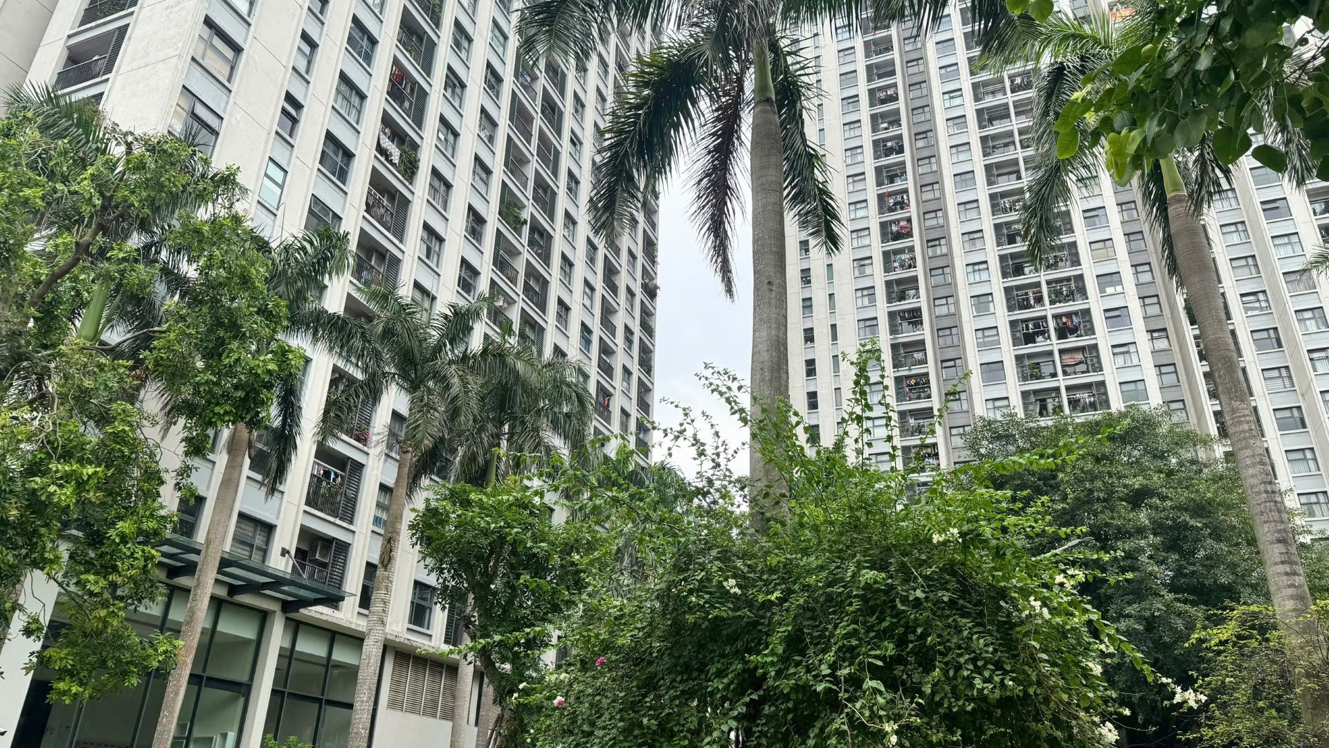 Các công trình xanh còn giúp tiết kiệm đáng kể năng lượng tiêu thụ và góp phần nâng cao hiệu quả công việc, với mức cải thiện năng suất ước tính từ 1-1,5%. (Ảnh: HNV) dothixanh4.jpg