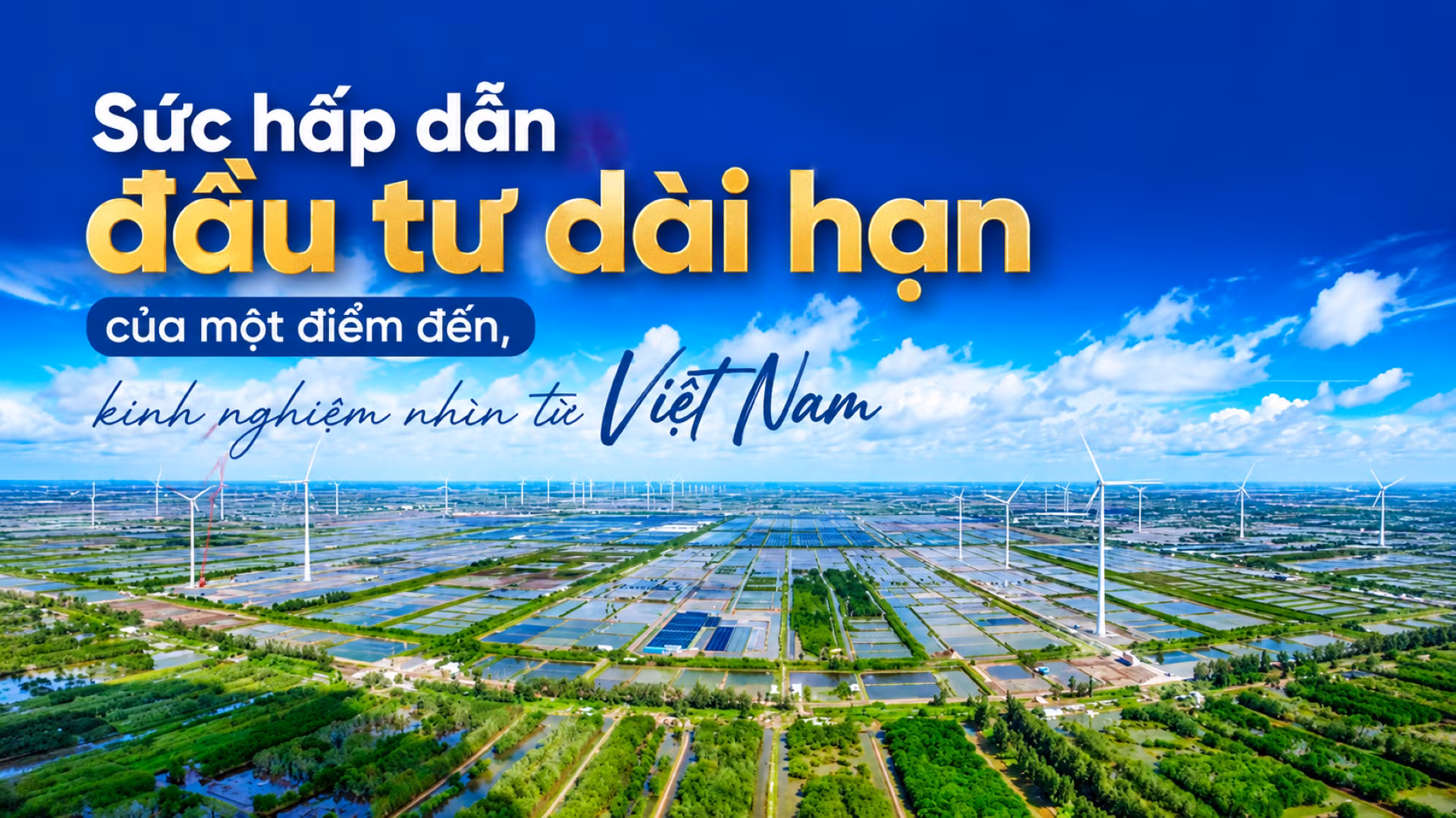 (Ảnh có yếu tố AI).