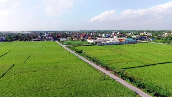 Khung cảnh bình yên tại một vùng nông thôn thuộc xã Long Hưng, tỉnh Hưng Yên.