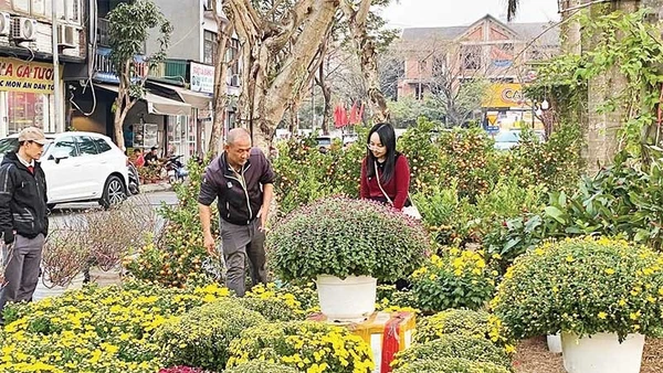 Người dân mua sắm hoa, cây cảnh chơi Tết sớm.