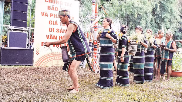 Phục dựng nghi thức Lễ gọi hồn lúa của người M’nông Gar tại Liên hoan Văn hóa cồng chiêng tỉnh Đắk Lắk lần thứ III năm 2024.