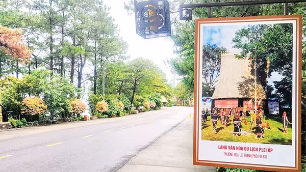 Hương đất ẩm và mùi nhựa thông quyện vào nhau, mang đến cảm giác vừa trong lành, vừa ấm áp.