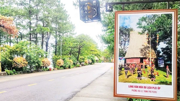 Hương đất ẩm và mùi nhựa thông quyện vào nhau, mang đến cảm giác vừa trong lành, vừa ấm áp.