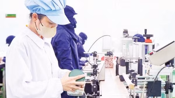 Chế biến sâu hạt điều xuất khẩu tại một doanh nghiệp ở thành phố Đồng Nai.