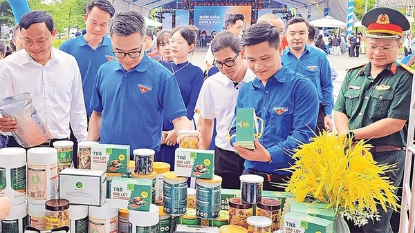 Nhiều sản phẩm OCOP đặc sắc của Nghệ An được khách hàng quan tâm tại các hội chợ.