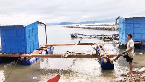 Ông Nguyễn Tấn Cường trăn trở vì chưa có vốn để làm lại lồng bè, ghe thuyền và mua con giống cho vụ mùa mới.