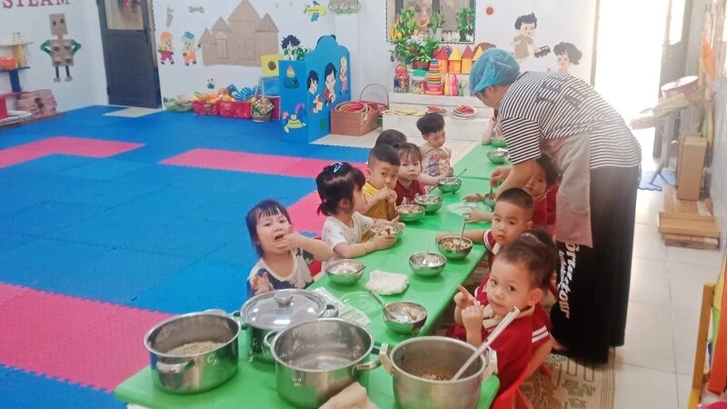 Hiệu Trưởng Mầm Non Hòa Bình Bị Đình Chỉ Vì Thịt Lợn Nhiễm Virus Dịch Tả Lợn Châu Phi