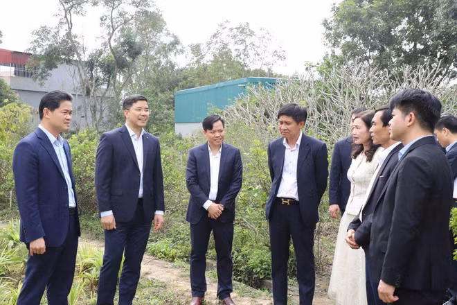 Thứ trưởng Thường trực Bộ Y tế Vũ Mạnh Hà và Phó Bí thư Thường trực Tỉnh ủy Thanh Hóa Nguyễn Hồng Phong cùng đoàn công tác thăm vườn ươm của Trung tâm Nghiên cứu dược liệu Bắc Trung Bộ.