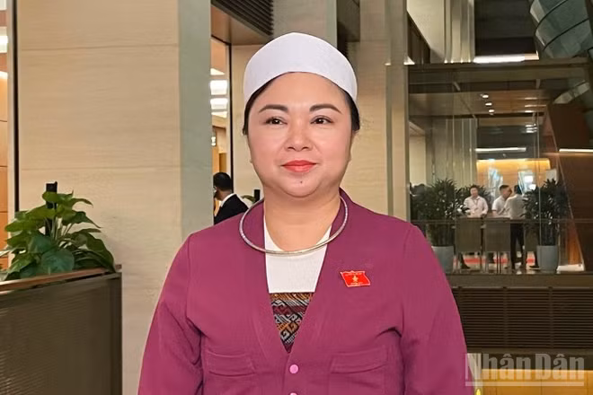 Đại biểu Đặng Bích Ngọc, Phó Trưởng Đoàn đại biểu Quốc hội tỉnh Phú Thọ.