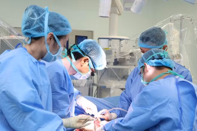 Ê-kíp tiến hành ghép gan cho người bệnh. 
