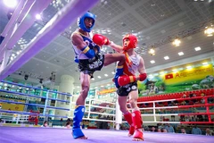 Muay Việt Nam (đỏ) áp đảo huy chương tại Giải vô địch châu Á 2025. Ảnh | IFMA