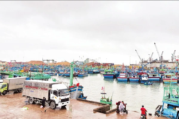 Cảng cá Quy Nhơn nhìn từ trên cao. (Ảnh HOÀNG QUÂN)